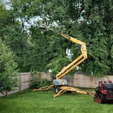 Reliable Loving, NM Tree Removal and Landscaping Services Solutions